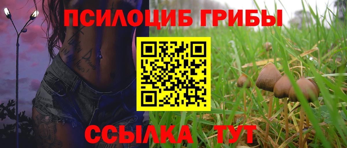 Псилоцибиновые грибы мухоморы  Вход с VPN  Бийск 